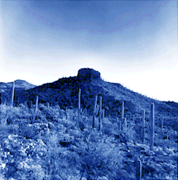 southwestern desert
