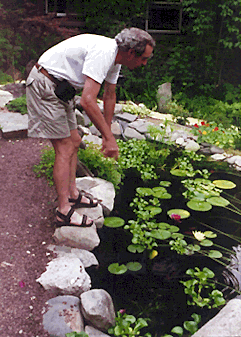 fish pond