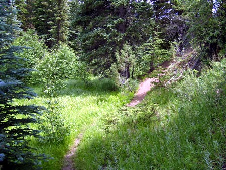 Trail behind Barclay