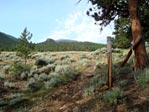 Trail opening into meadow