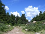 Hiking trail near camp