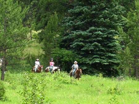 Horseback riding