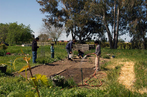 Gardening