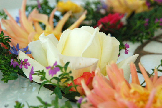 Flowers