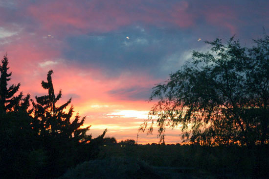 Sunset at Lodi ashram