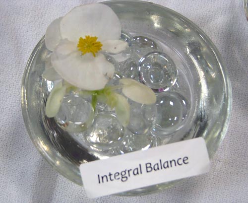 Integral balance